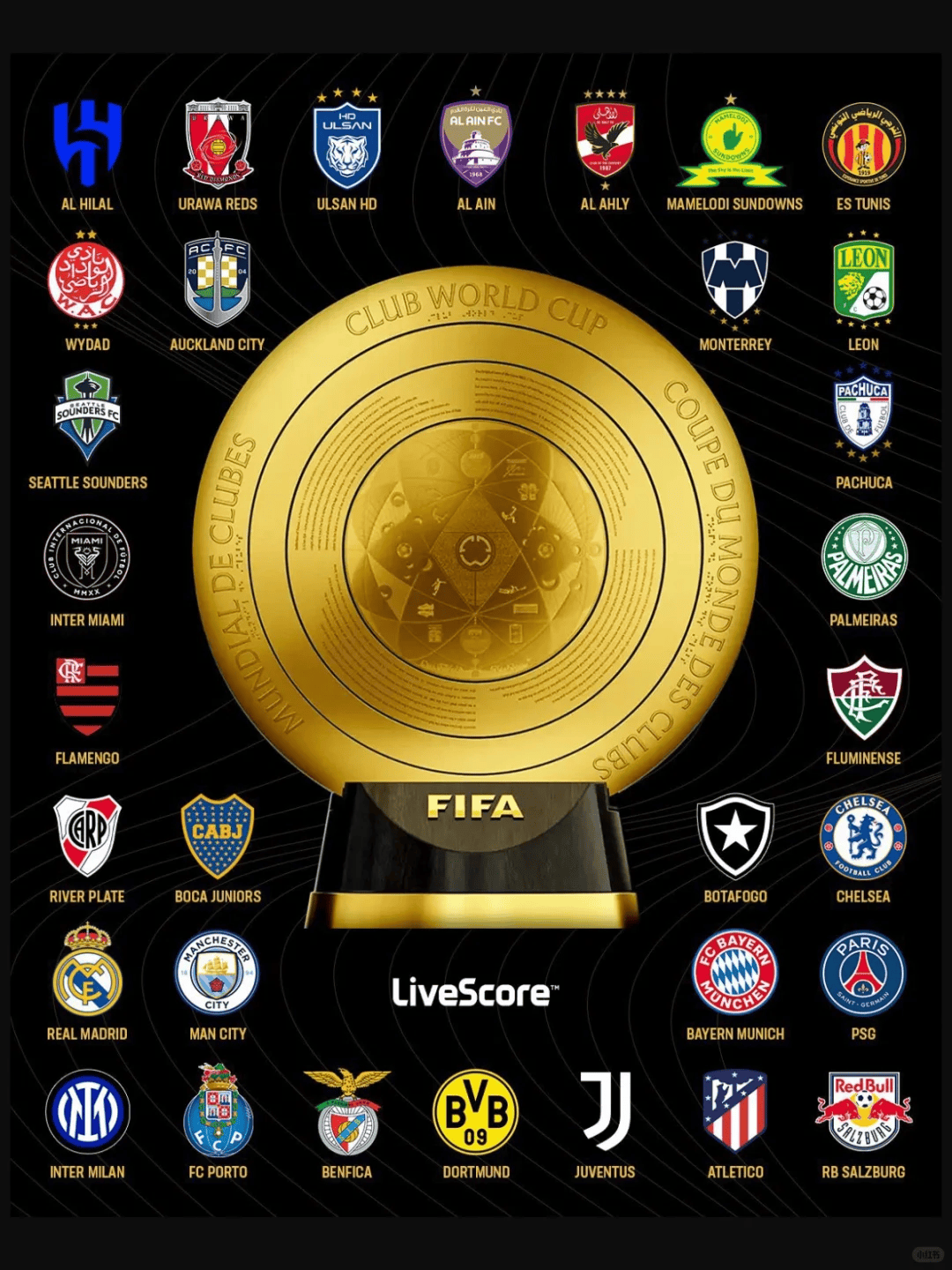 博鱼体育app-新世俱杯迎第200万名观众，FIFA发布长文谈新世俱杯意义
